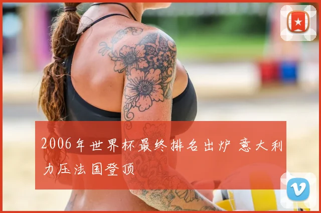 2006年世界杯最终排名出炉 意大利力压法国登顶